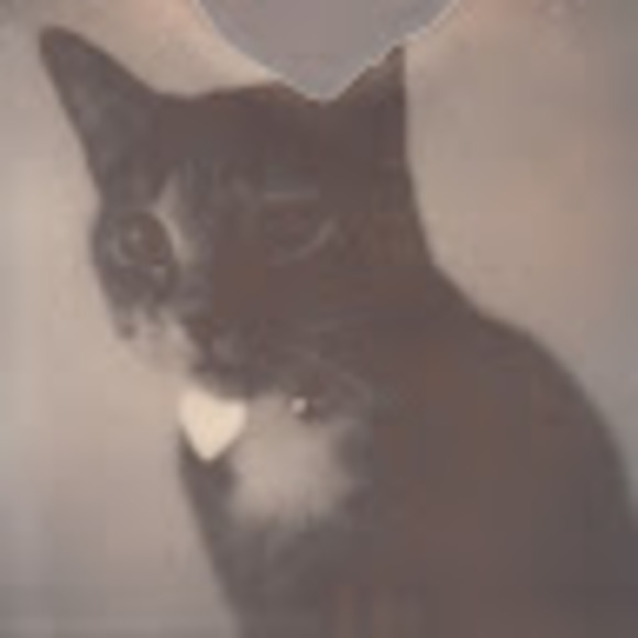 Meet your Posher, Jo - Picture 1 of 1